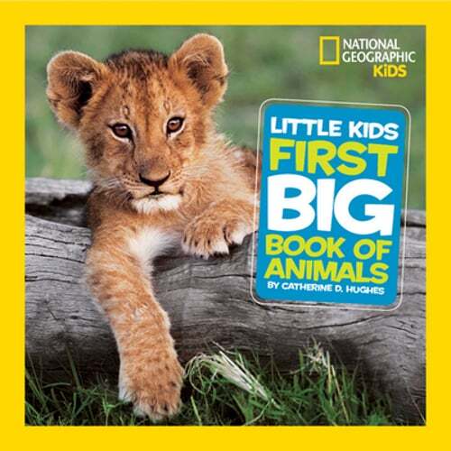 Little Kids First Big Book of Animals by Catherine D. Hughes: Used