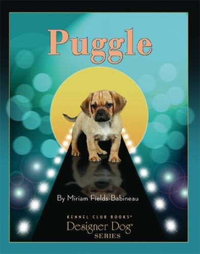 Puggle by Miriam Fields-Babineau: Used
