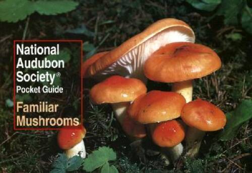 National Audubon Society Pocket Guide: Familiar Mushrooms – Paperback – GOOD