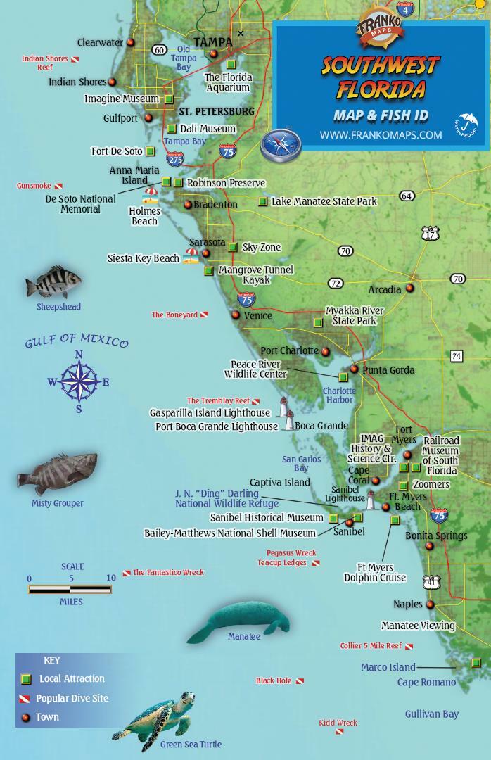Southwest Florida Adventure Map & Fish Card