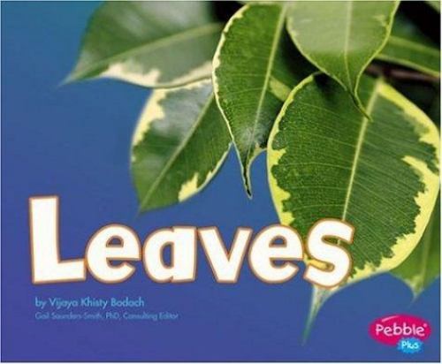Leaves Hardcover Vijaya Khisty Bodach