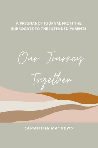 Our Journey Together A Pregnan – VERY GOOD