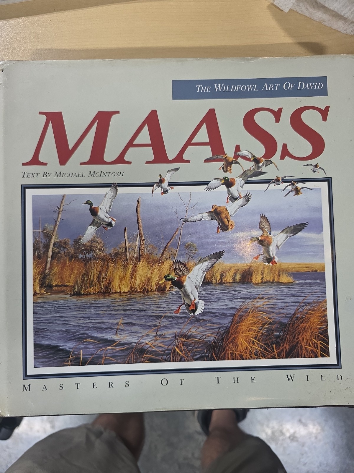 The Wildfowl Art of David Maass HB DJ 1990 Masters of the Wild Very Good UC