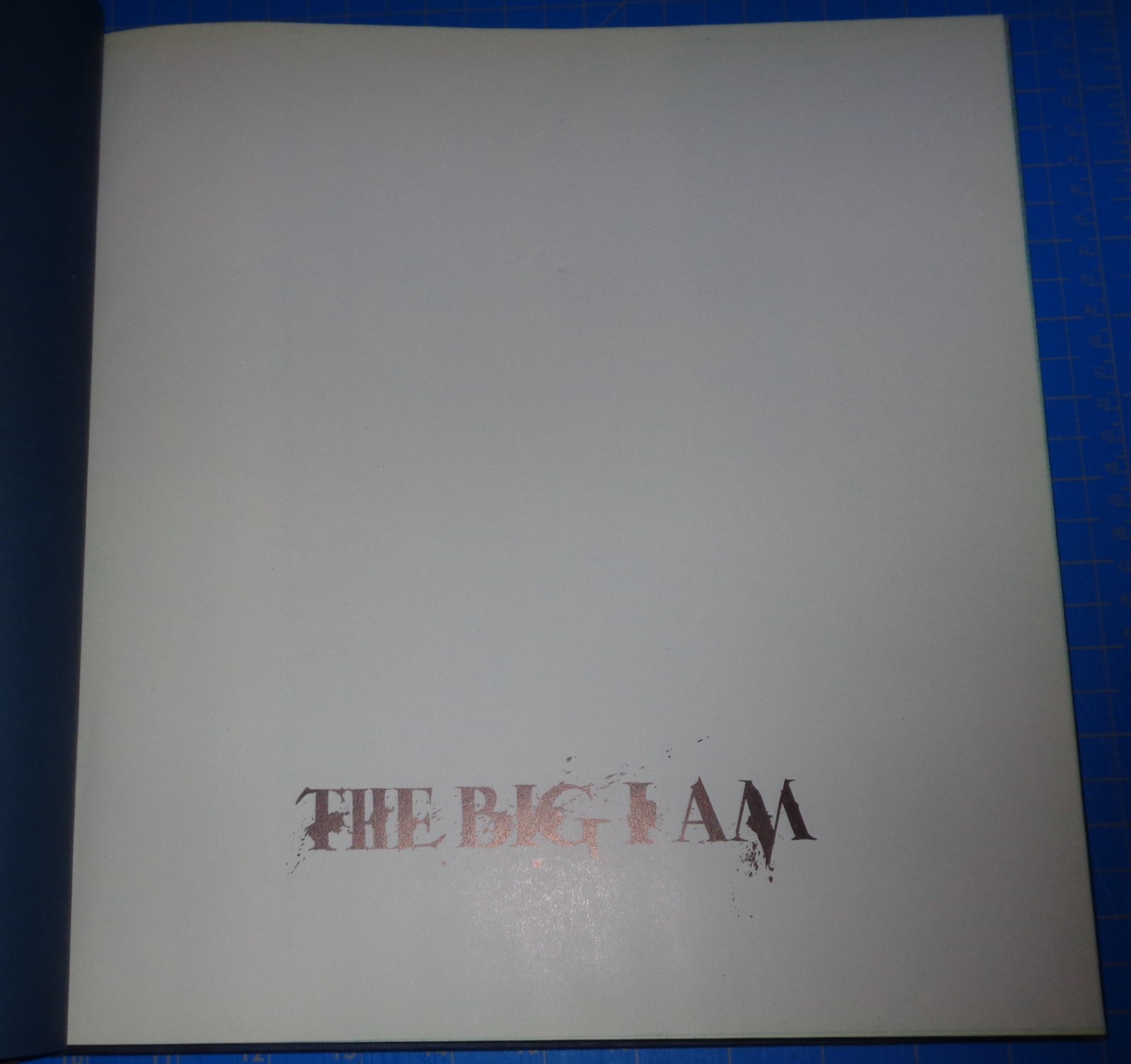 THE BIG I AM by Ralph Steadman – Jonathan Cape Hardcover