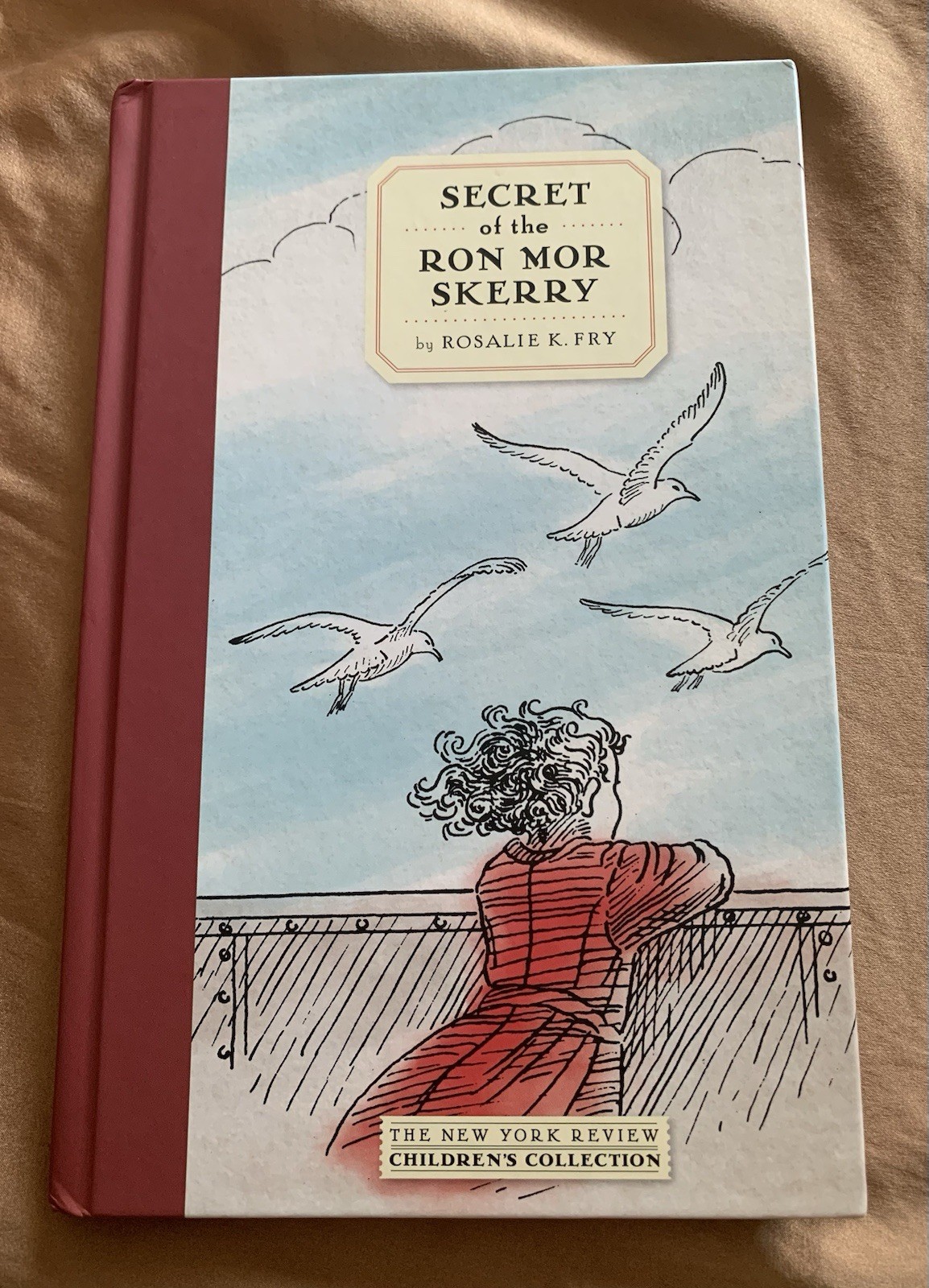 Secret of the Ron Mor Skerry by Rosalie K. Fry (2017, Hardcover)