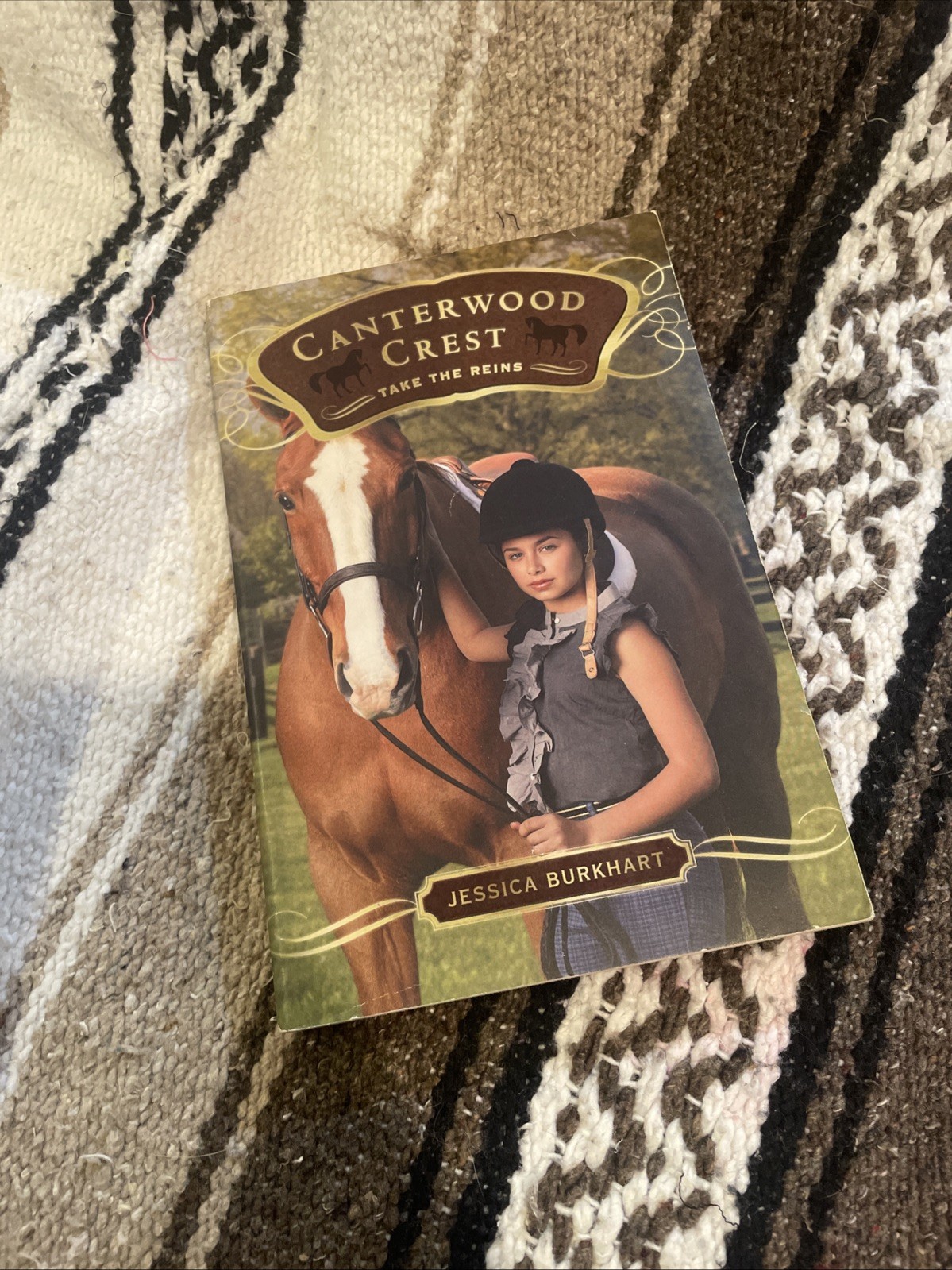 Take the Reins by Jessica Burkhart (2009, Trade Paperback)