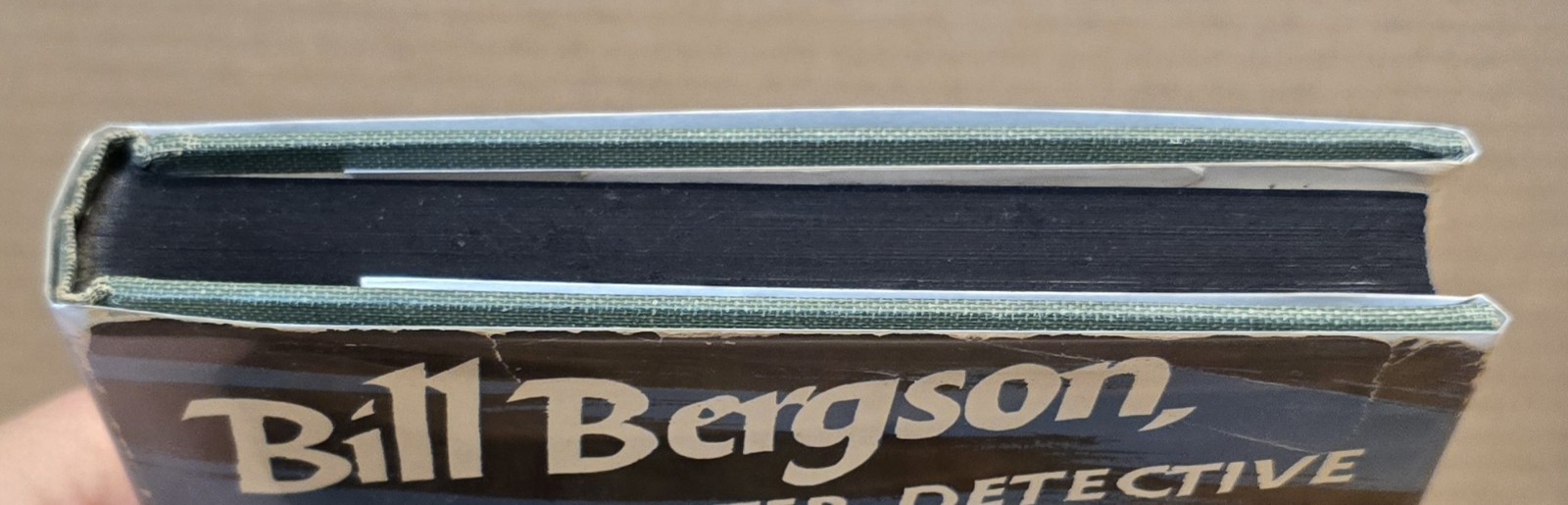 Bill Bergson Master Detective Astrid Lindgren