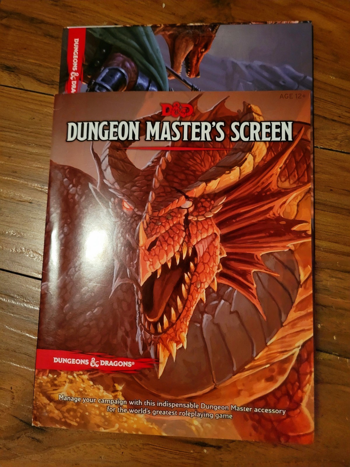 Dungeons & Dragons 5th Ed Dungeon Master’s Screen