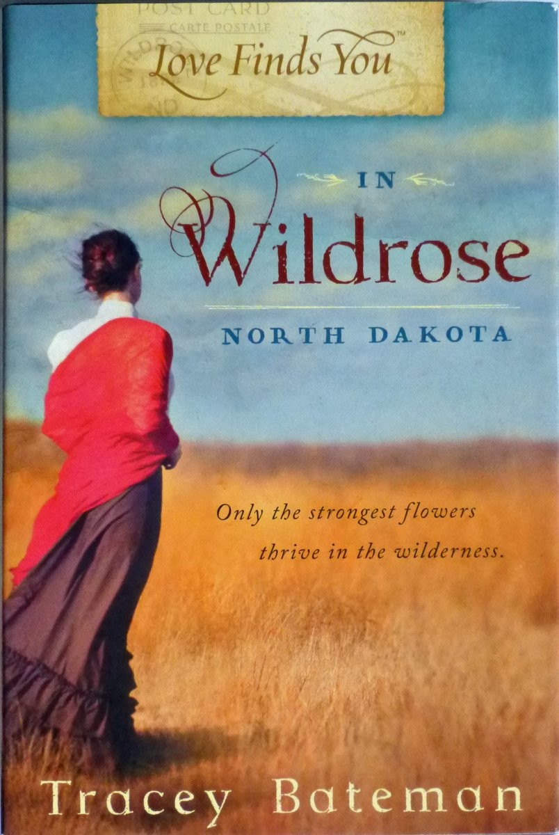 Love Finds You in Wildrose, North Dakota (Love Finds You)