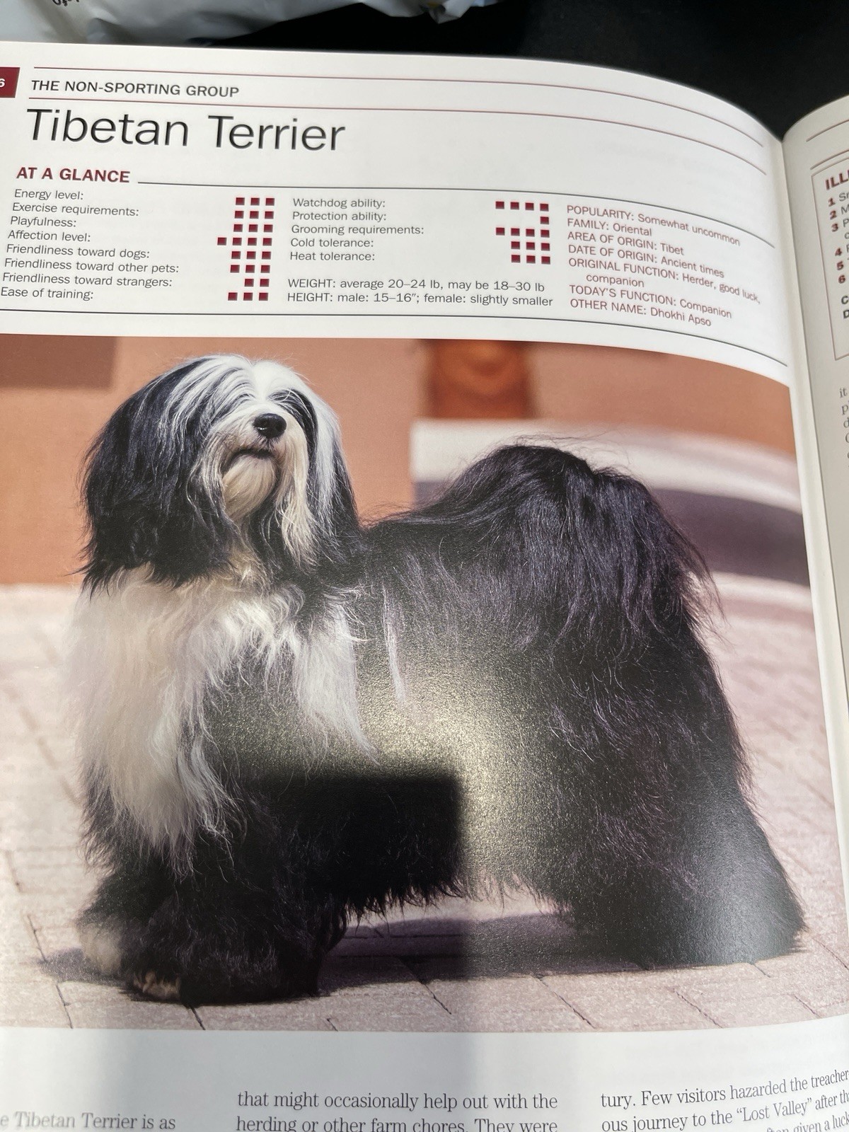 Encyclopedia of Dog Breeds – Hardcover By Coile Ph.D., D. Caroline – GOOD