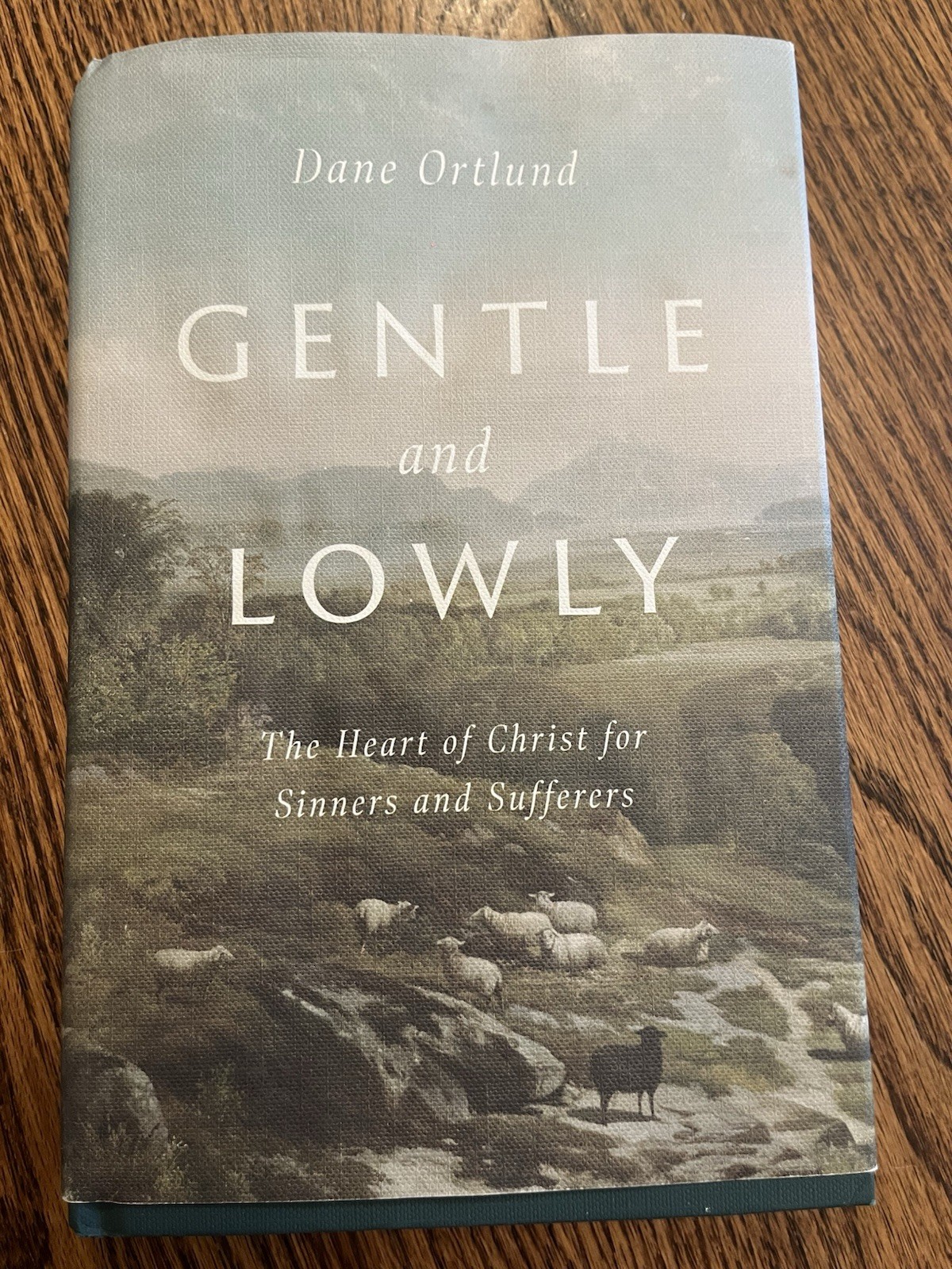 Gentle and Lowly : The Heart of Christ for Sinners and Sufferers by Dane Ortlund