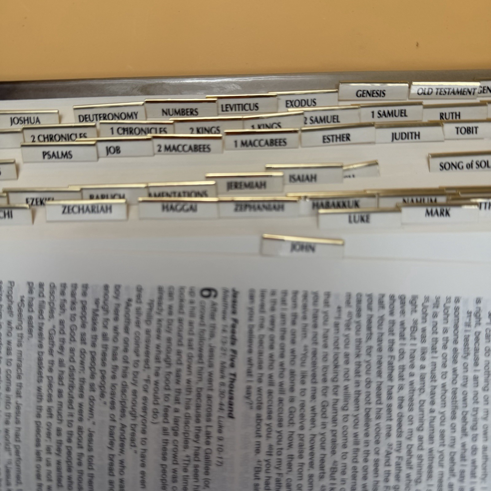 GNT Holy Bible Good News Translation Catholic Edition Zondervan With Thumb Tabs