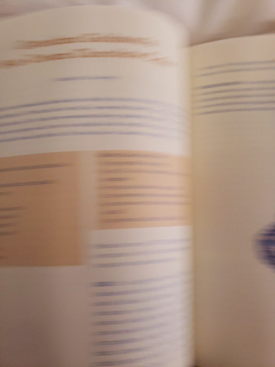 A Treasury of Jewish Holiday Baking No Dust Jacket 1998