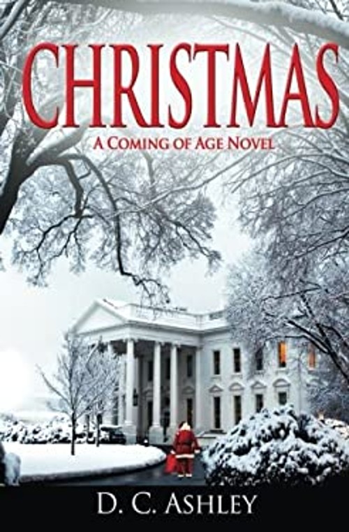Christmas : A Coming of Age Novel Paperback D. Ashley