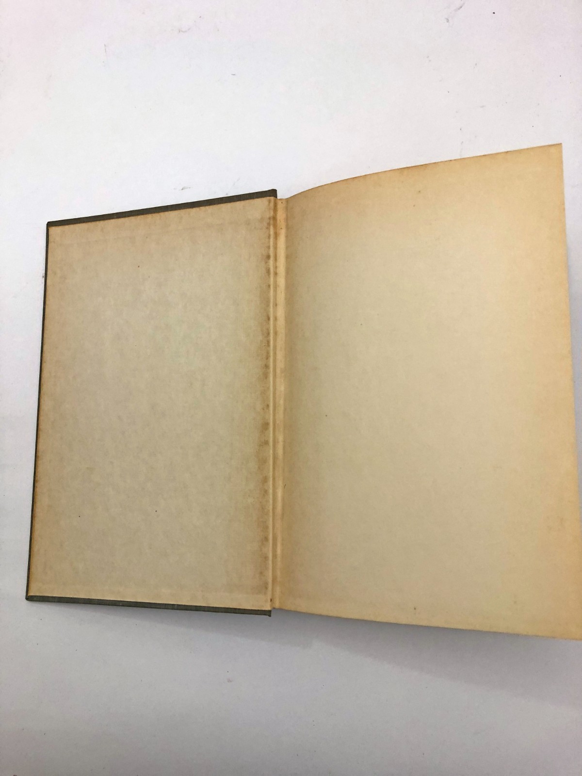 The Web of Victory Grant at Vicksburg Earl Schenck Miers 1955 Borzoi Book HB