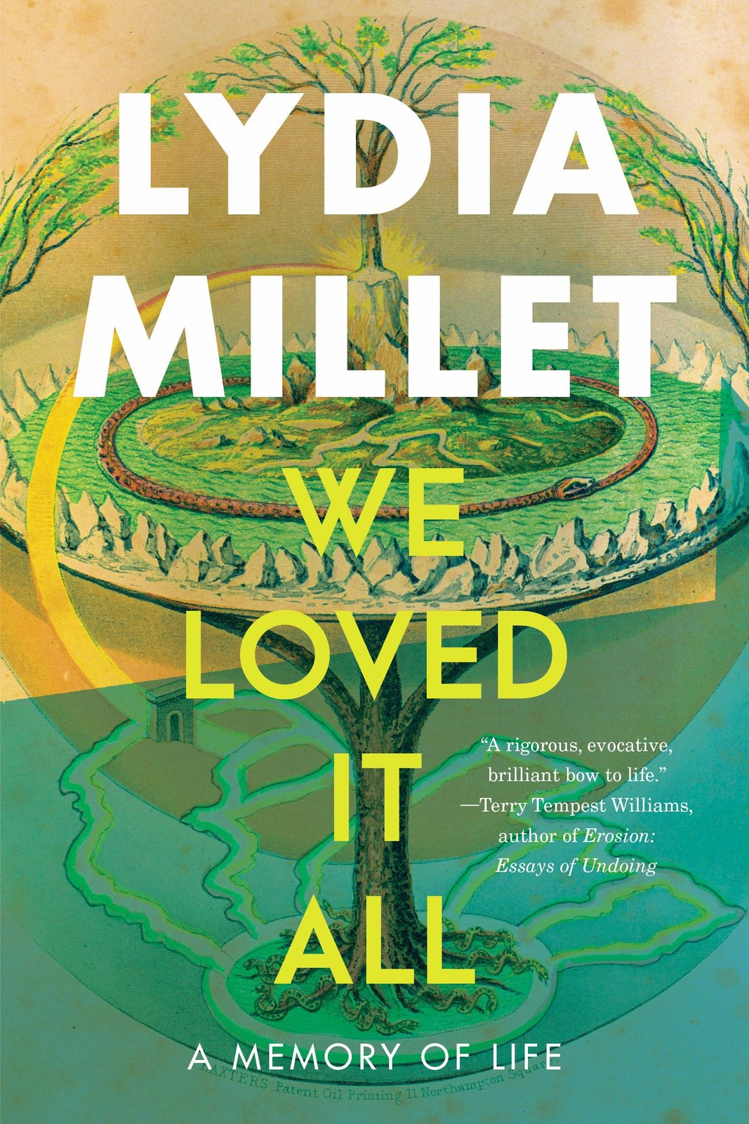 We Loved It All: A Memory of Life, Millet, Lydia, Excellent Book