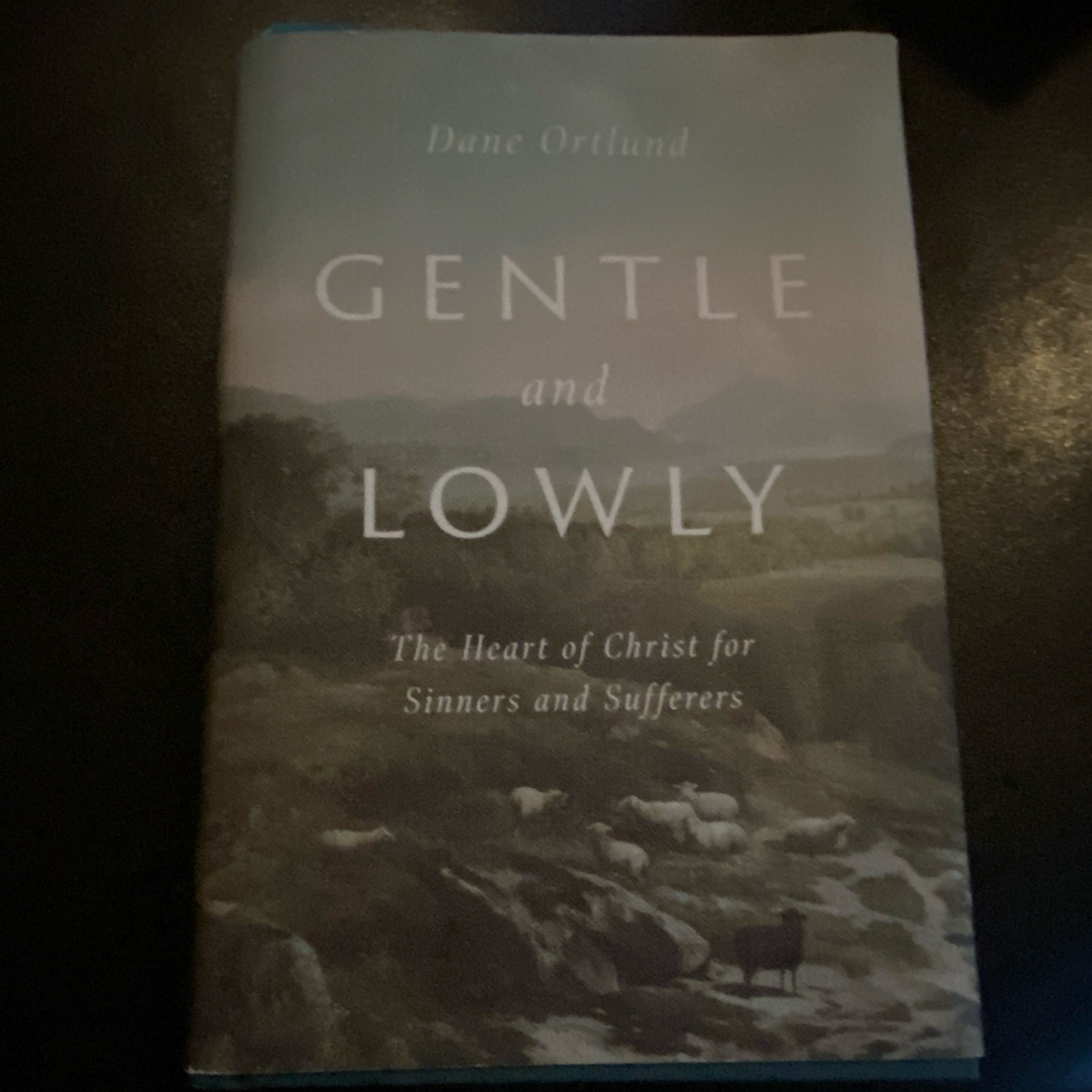 Gentle and Lowly Hardcover w/ Dust Jacket by Dane Ortlund, Crossway