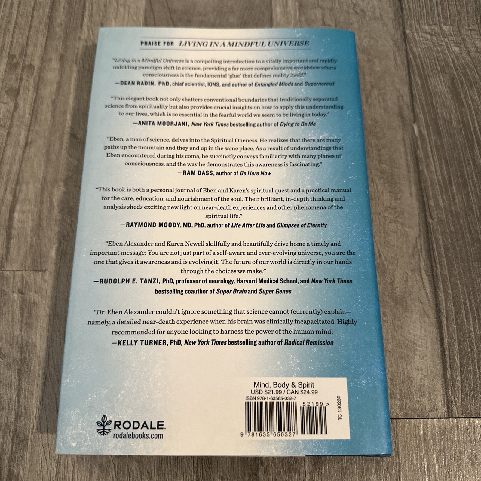 Living in a Mindful Universe: A – Hardcover, by Alexander Eben Newell – Good