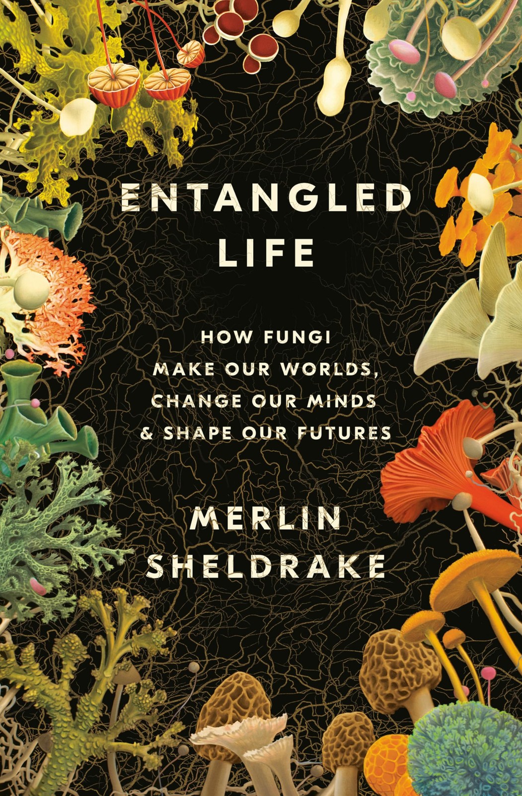 Entangled Life: How Fungi Make Our Worlds, Change Our Minds & Shape Our Futu…