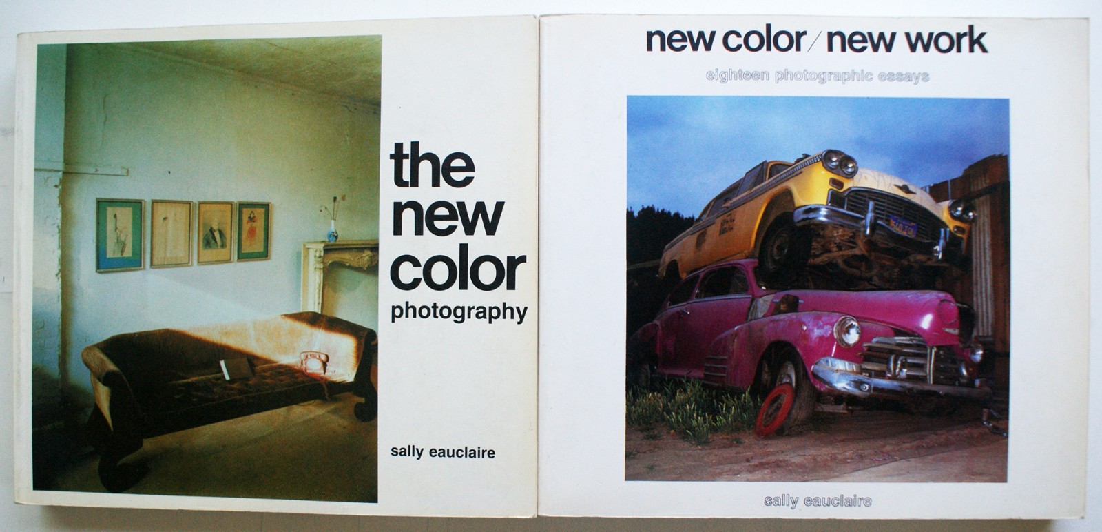 NEW COLOR/NEW WORK, THE NEW COLOR, Sally Eauclaire Abbeville Press 1st Ed. [368]