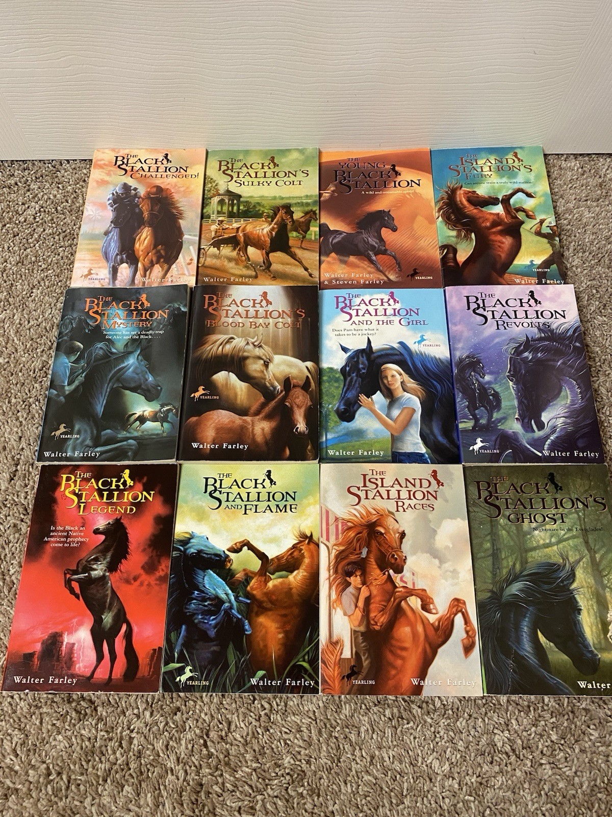 Lot of 12 The Black Stallion Series By Walter Farley Paperback