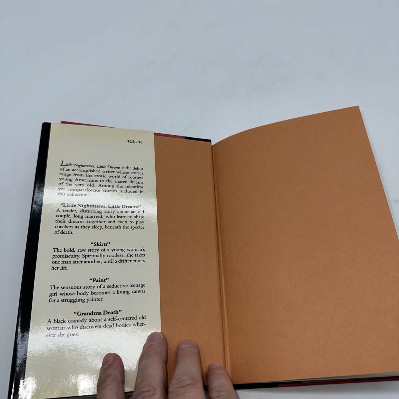 Little Nightmares, Little Dreams by Rachel Simon (1990, Hardcover) Signed