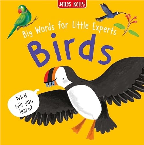 Big Words for Little Experts: Birds by Fran Bromage Book The Fast Free Shipping
