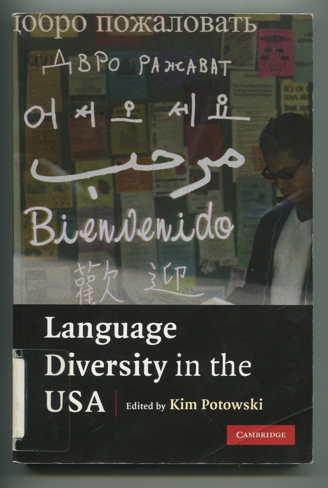 Language Diversity in the USA by Kim Potowski