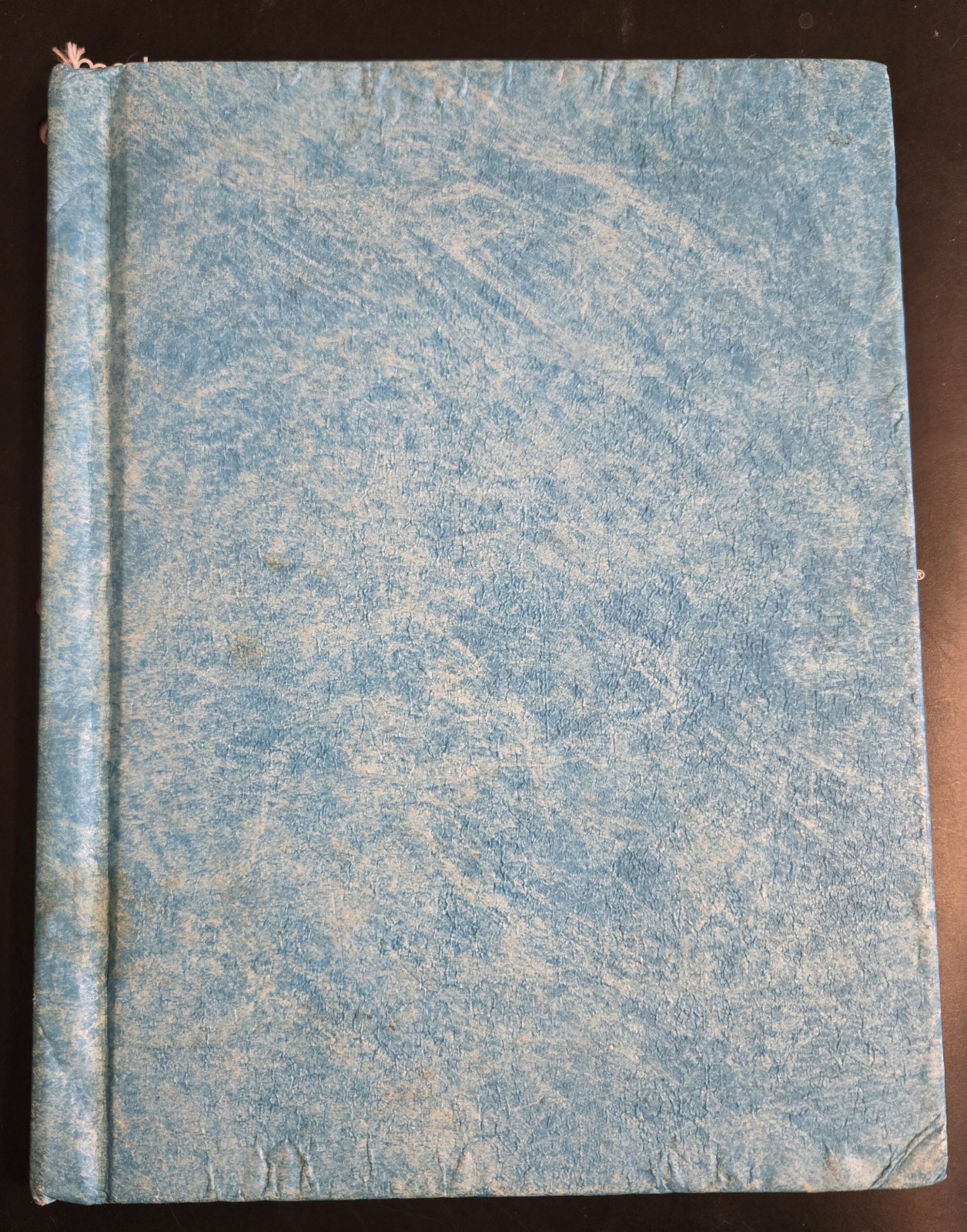 Wizard McBean and His Flying Machine by Dennis Nolan Signed 1977 1st Edition