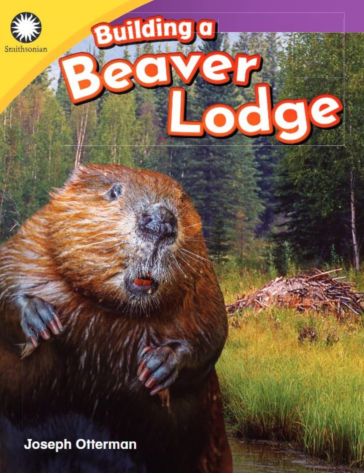 Building a Beaver Lodge (Smithsonian: Informational Text) by Joseph Otterman