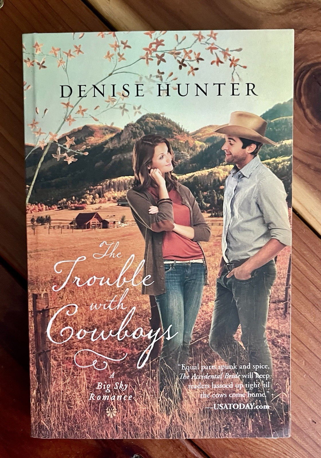 Trouble with Cowboys by Denise Hunter (2012, Trade Paperback) A Big Sky Romance