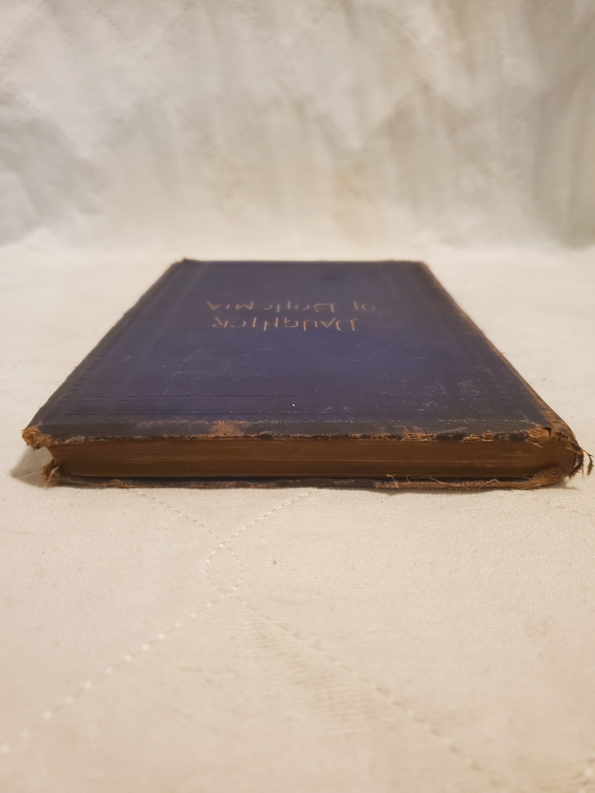 A Daughter of Bohemia Christian Reid 1874 A Novel Illustrated D. Appleton And Co