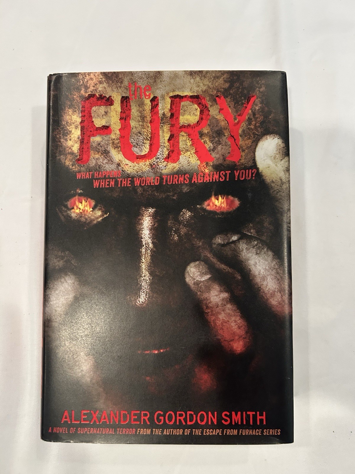 The Fury Alexander Gordon Smith Hardcover