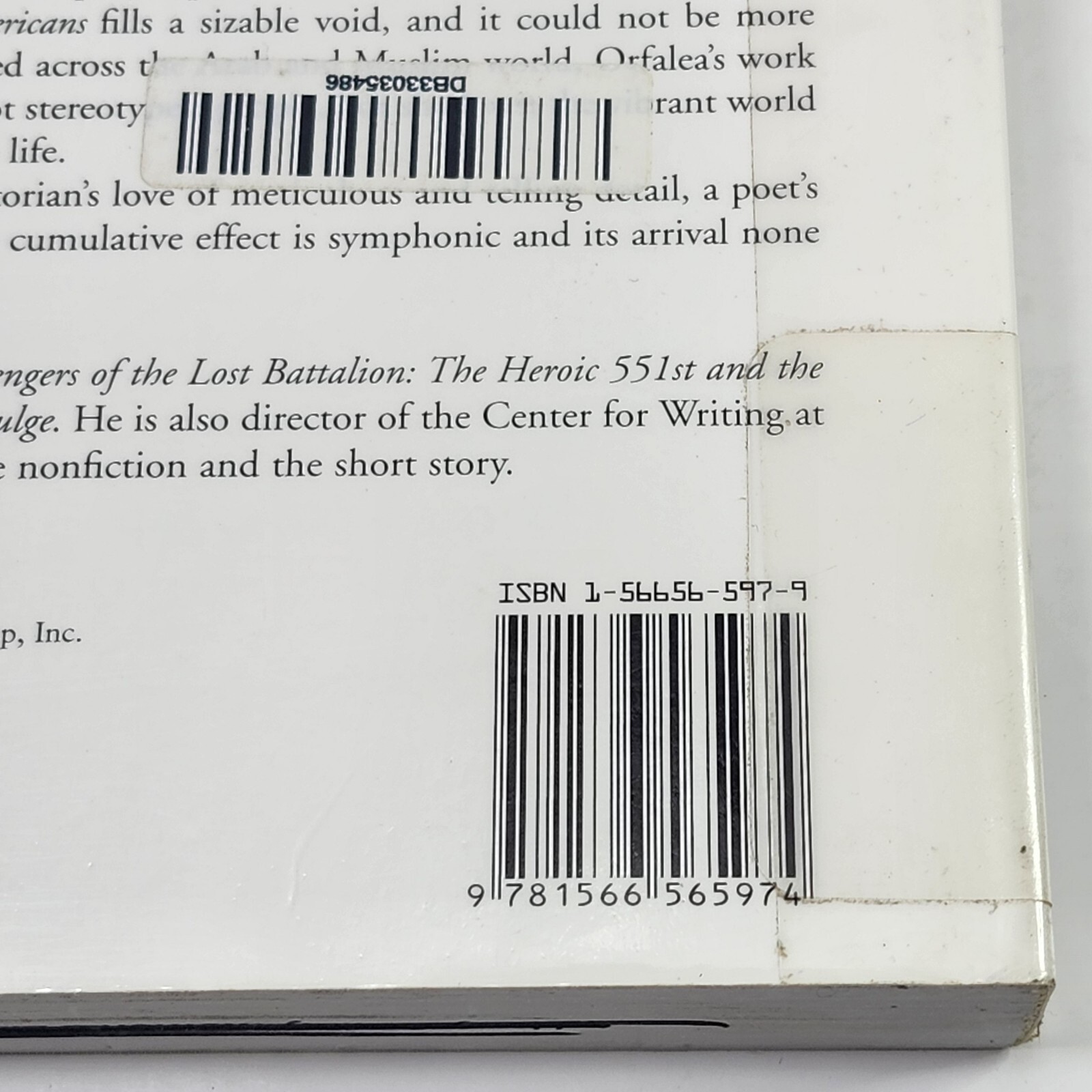 The Arab Americans : A History by Greg Orfalea (2005, Perfect)