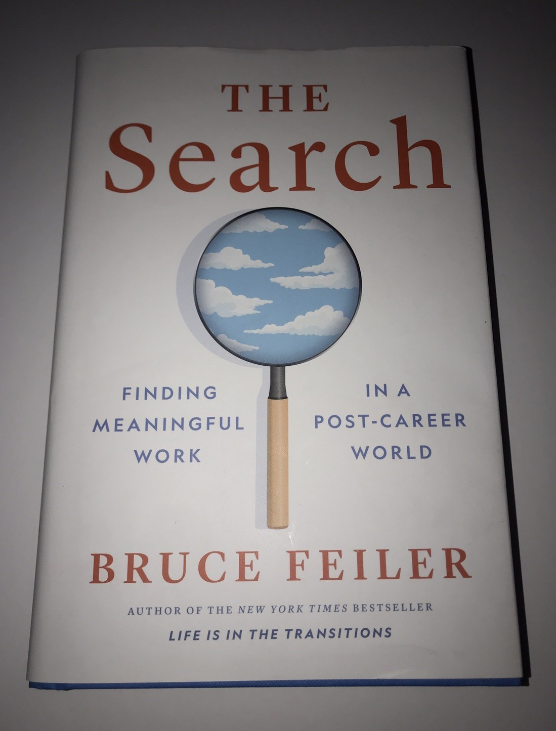 Search : Finding Meaningful Work in a Post-Career World by Bruce Feiler…