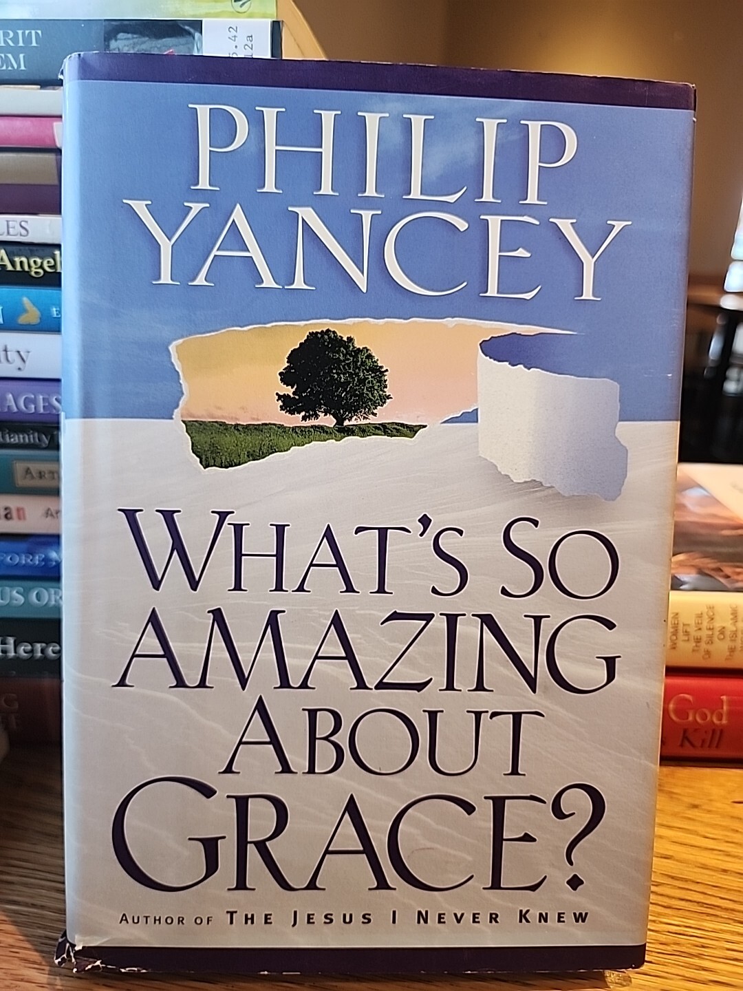 What’s So Amazing about Grace? by Philip Yancey (1997, Hardcover)