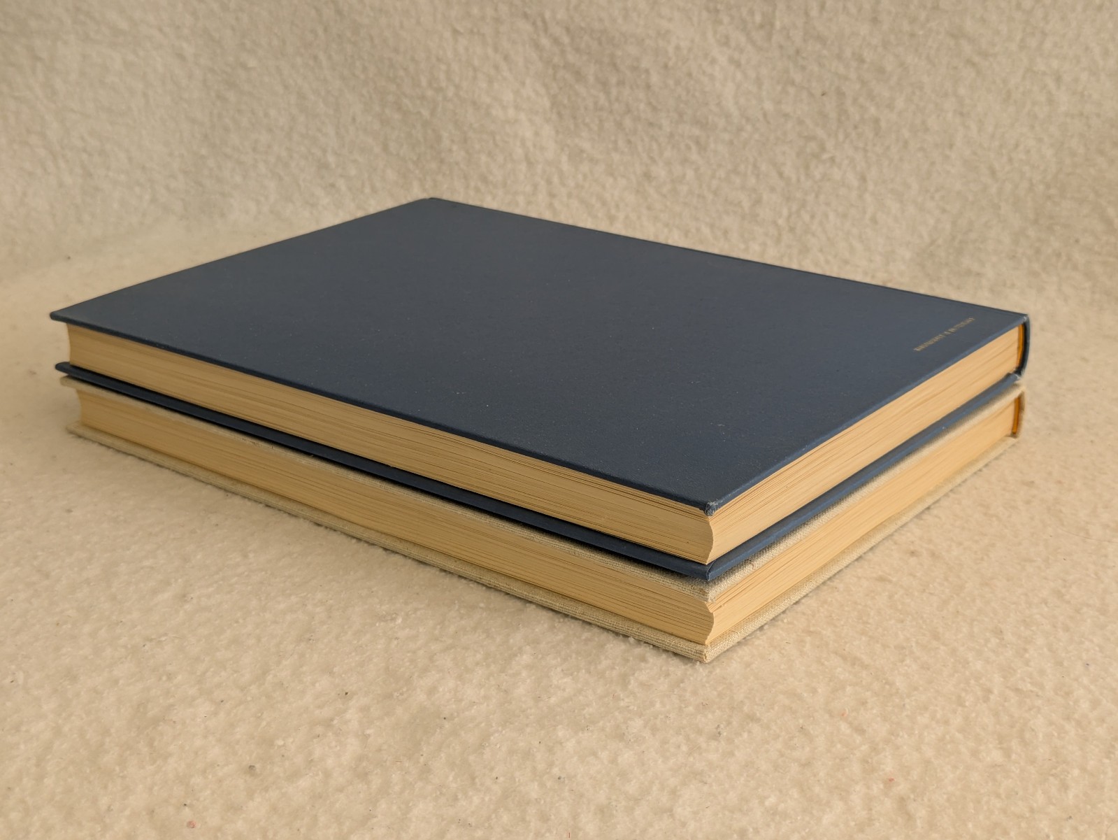 Lot of 2 ITALIAN and SPANISH PAINTING SKIRA Hardcovers in Slipcases