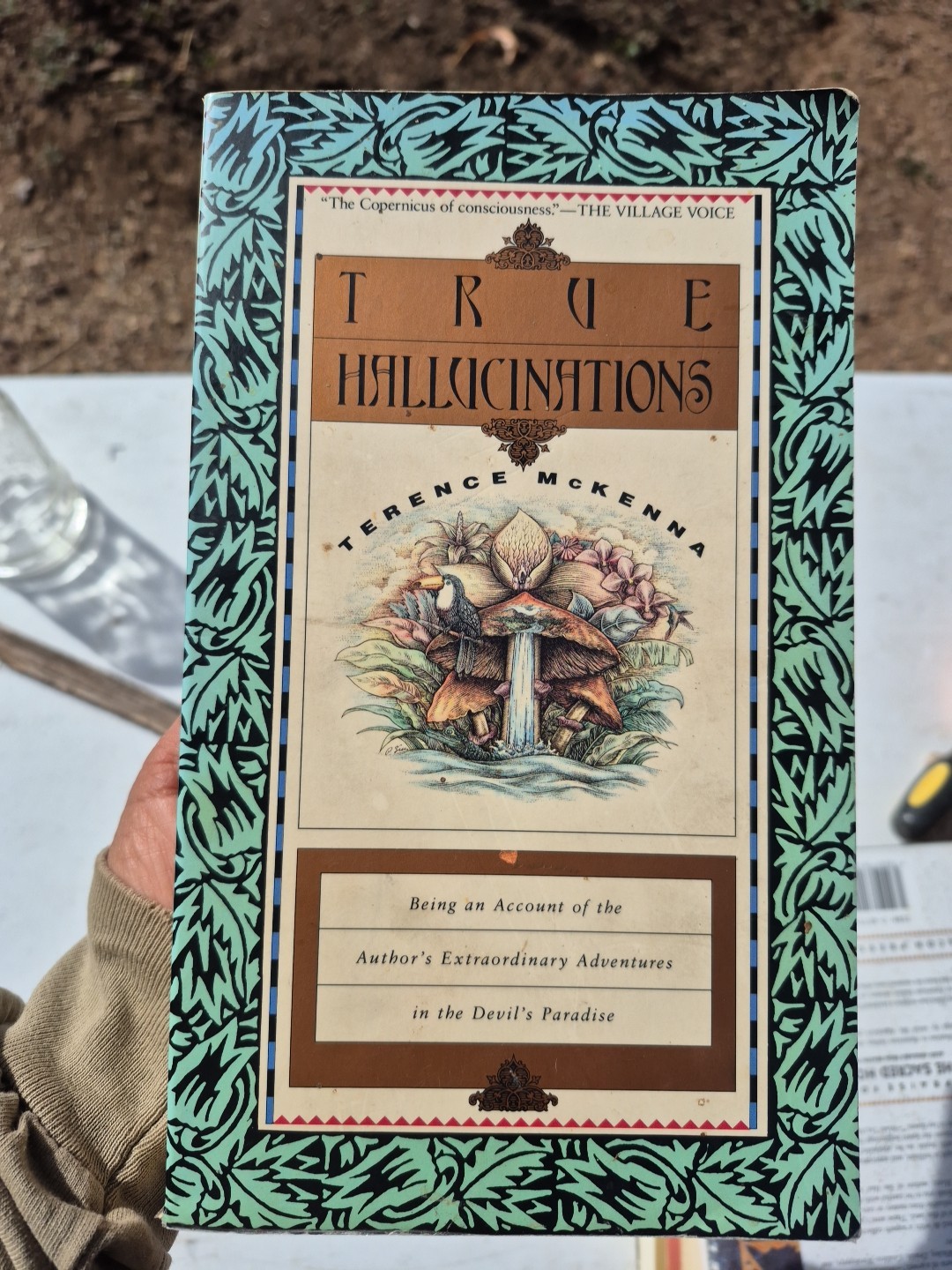 True Hallucinations : Being an Account of the Author’s Extraordinary Adventures