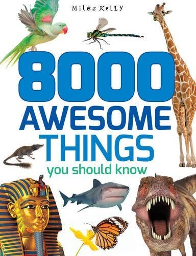 8000 Things You Should Know (512-page fact) – paperback Miles Kelly Publishi…