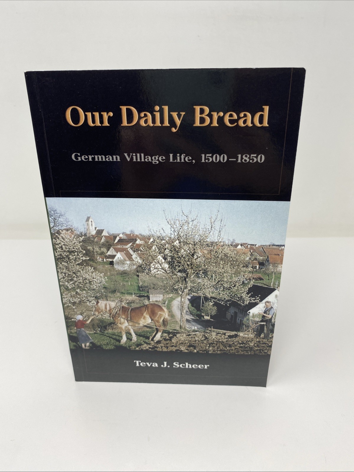 Our Daily Bread German Village Life 1500-1850 Teva Scheer 2010 PB FREE SHIPPING!