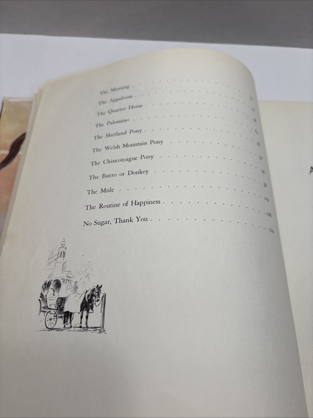 Album of Horses By Marguerite Henry, 1964, Illustr. By Wesley Dennis; HC, CB
