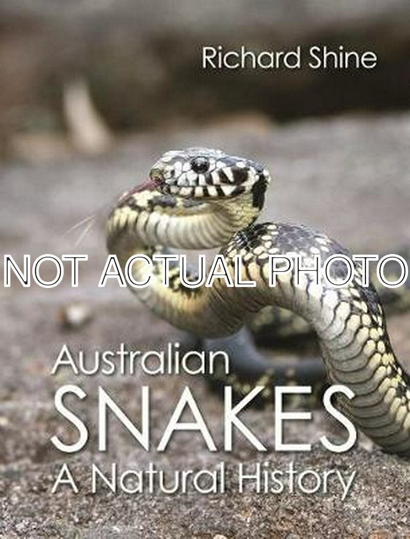 Australian Snakes by Richard Shine / 2007