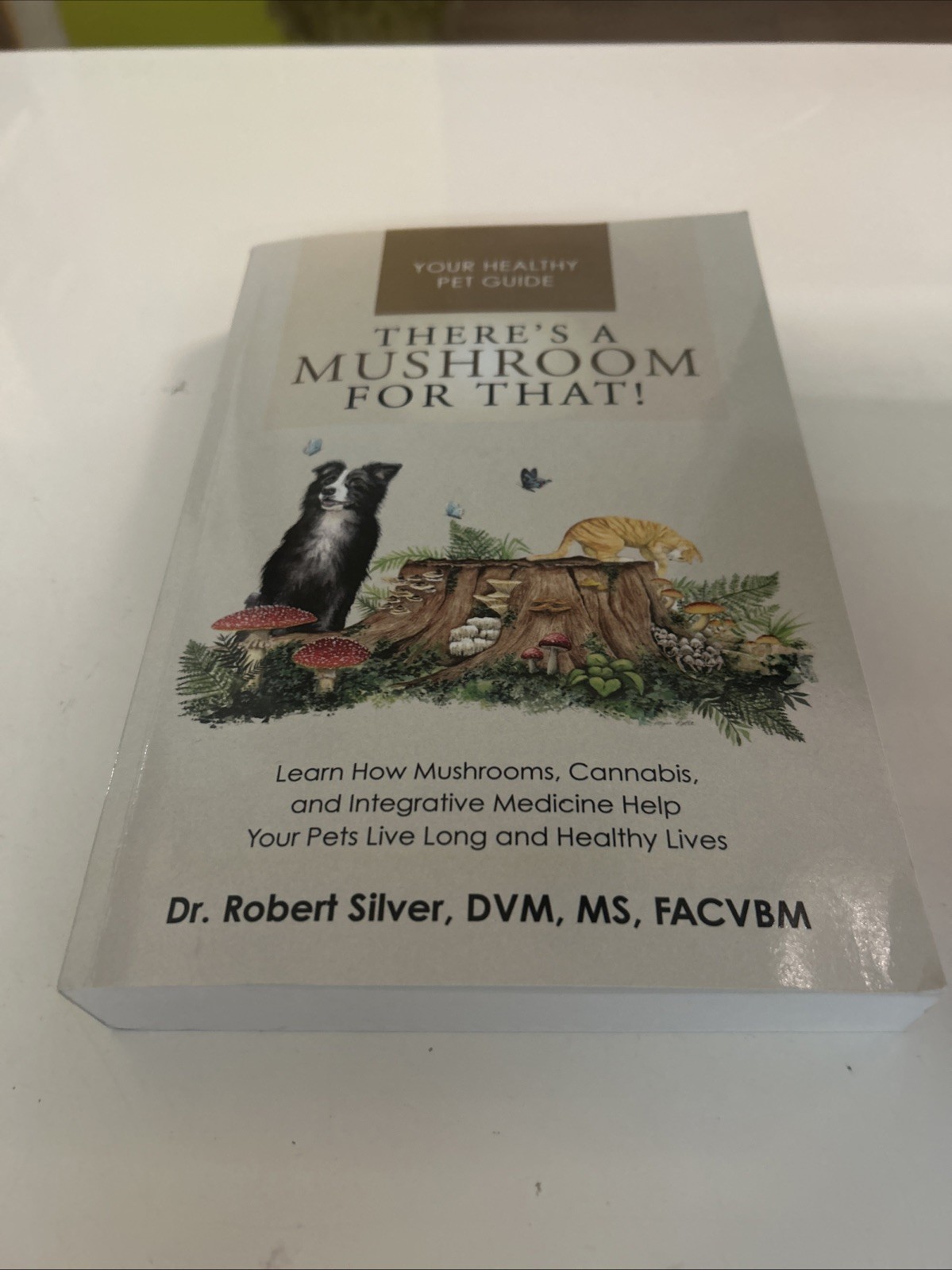 There’s a Mushroom for That!: Learn How Mushrooms, Cannabis, and Integrative Sig
