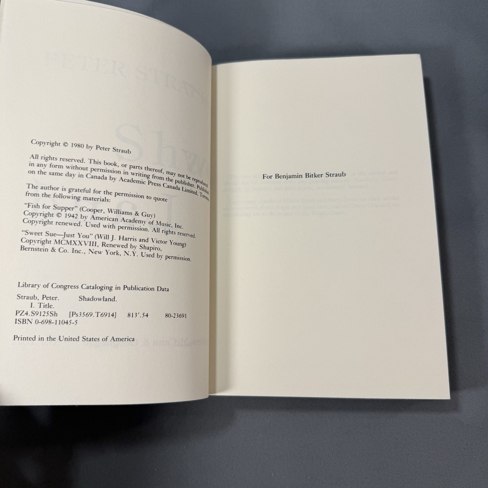 Shadow Land by Peter Straub First Edition First Printing