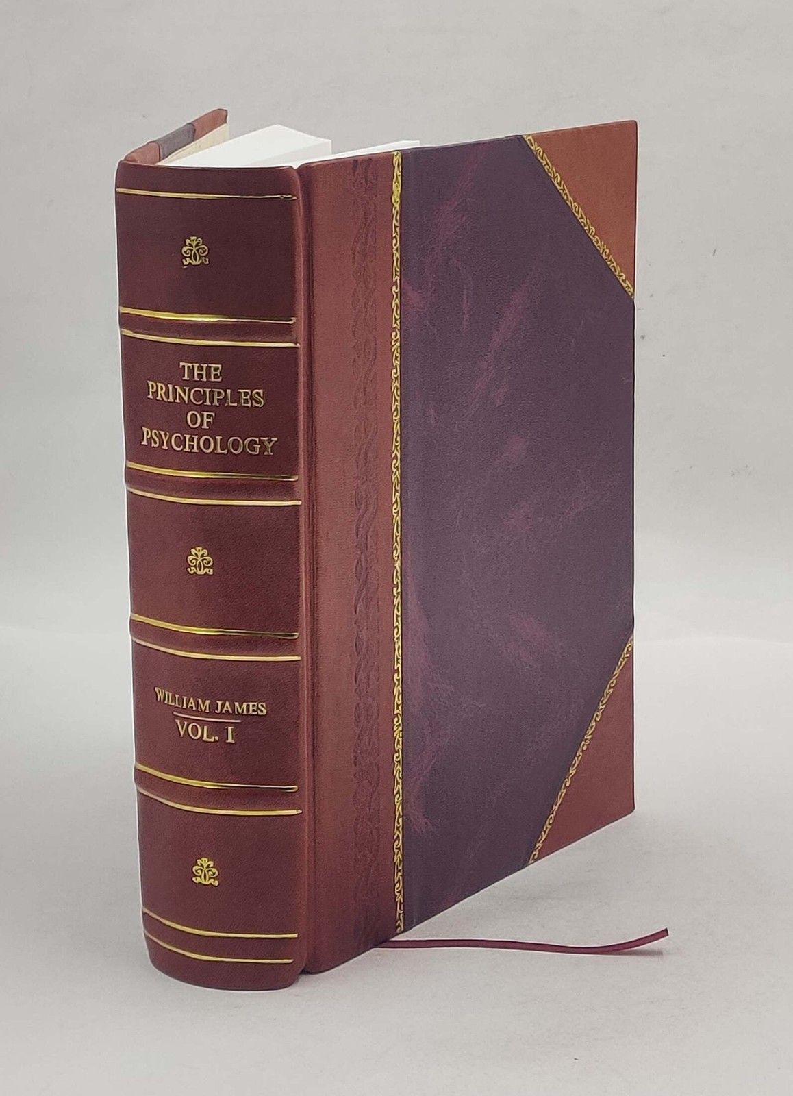 The principles of psychology: in two volumes. 1 1890 by James, W [Leather Bound]