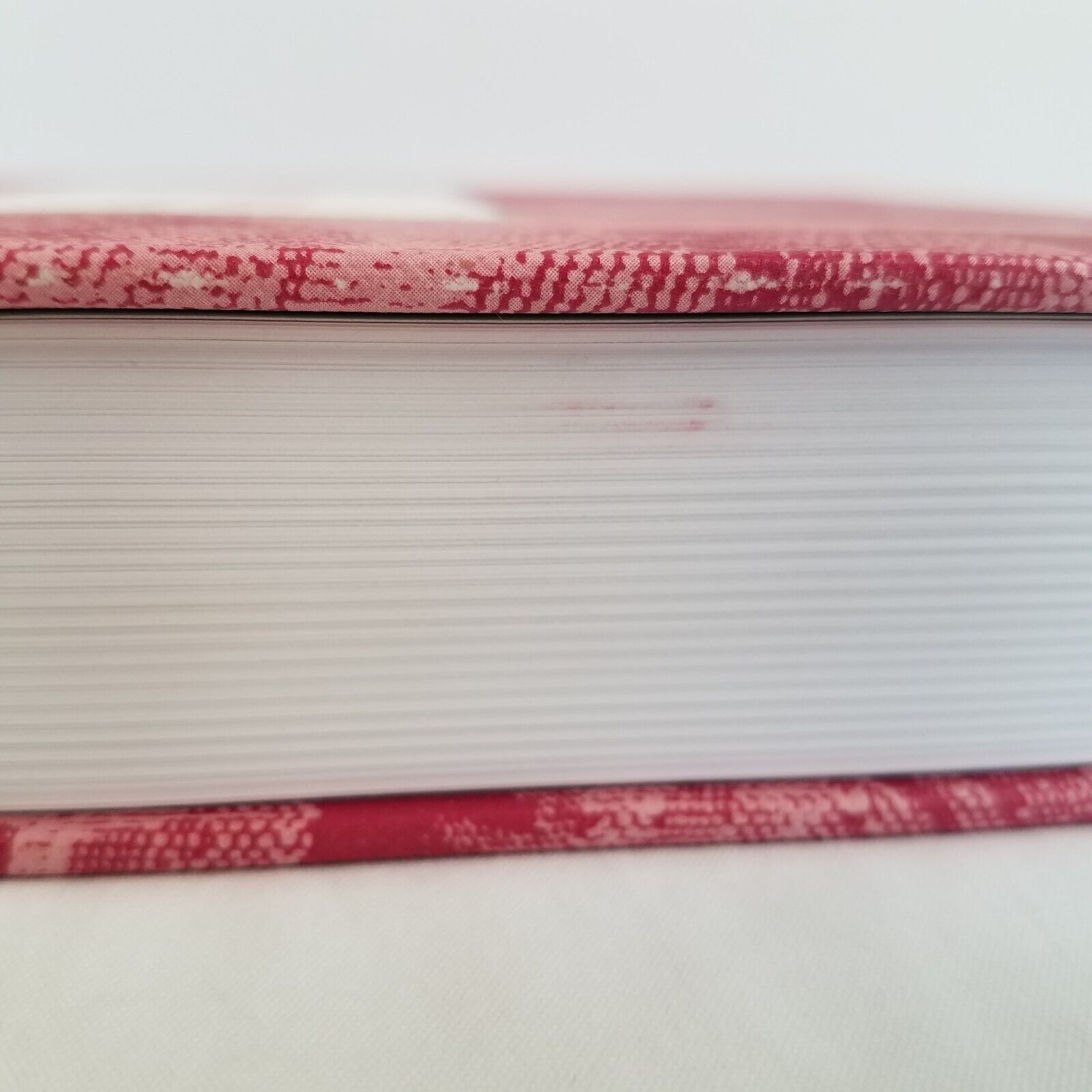 Tessa Kiros The Recipe Collection Book 2014 340 + Pages Gorgeous Photos Cookbook