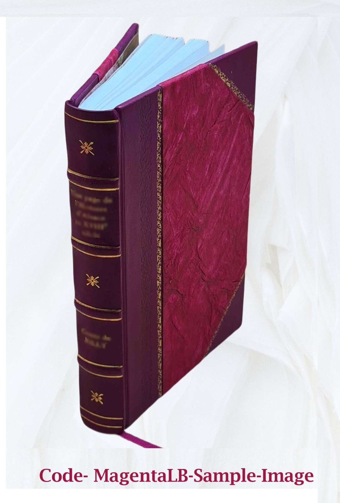 Visitation Articles And Injunctions Volume 2 1910 [Leather Bound]