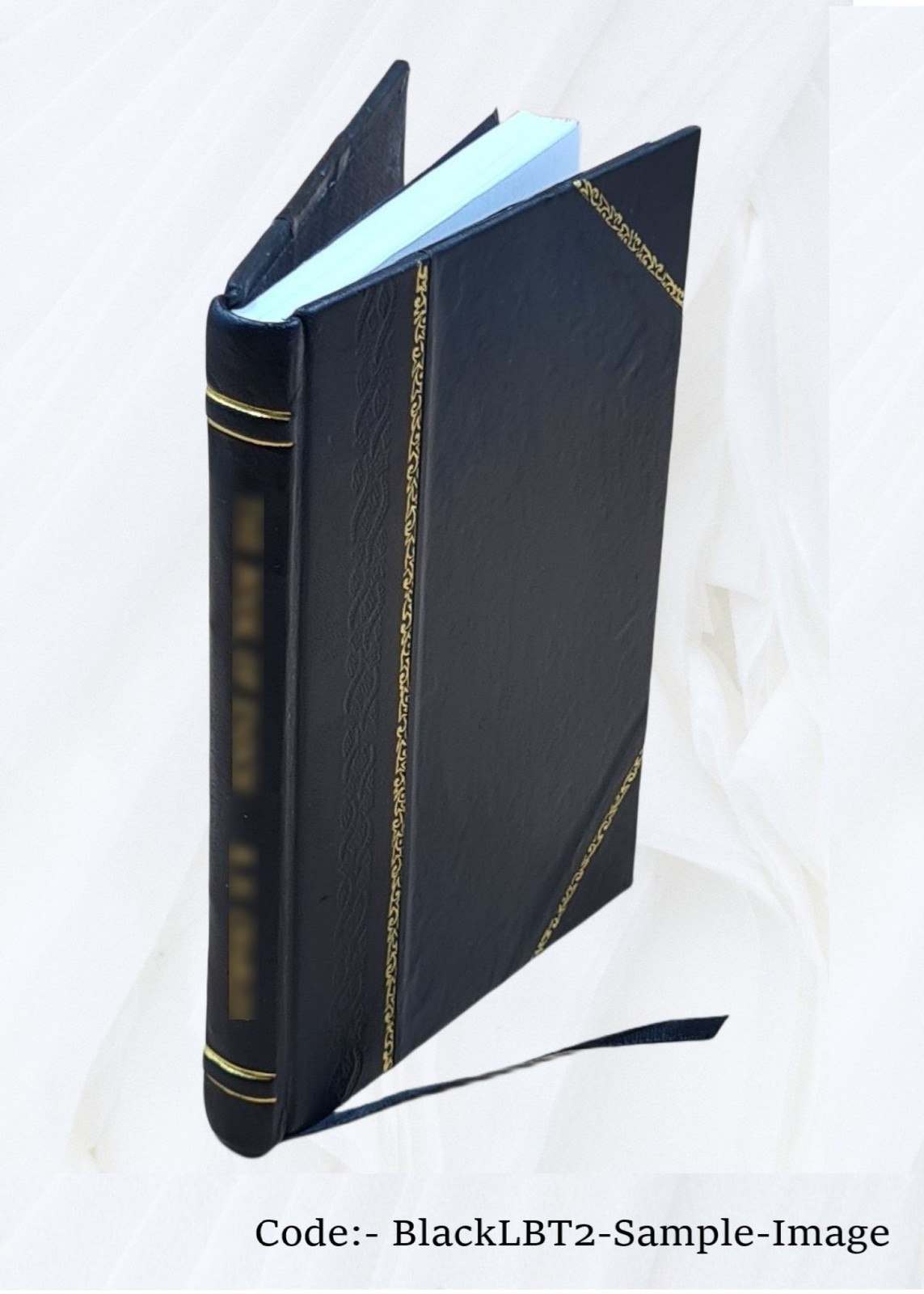 Advertising: a study of a modern business power 1914 [Leather Bound]