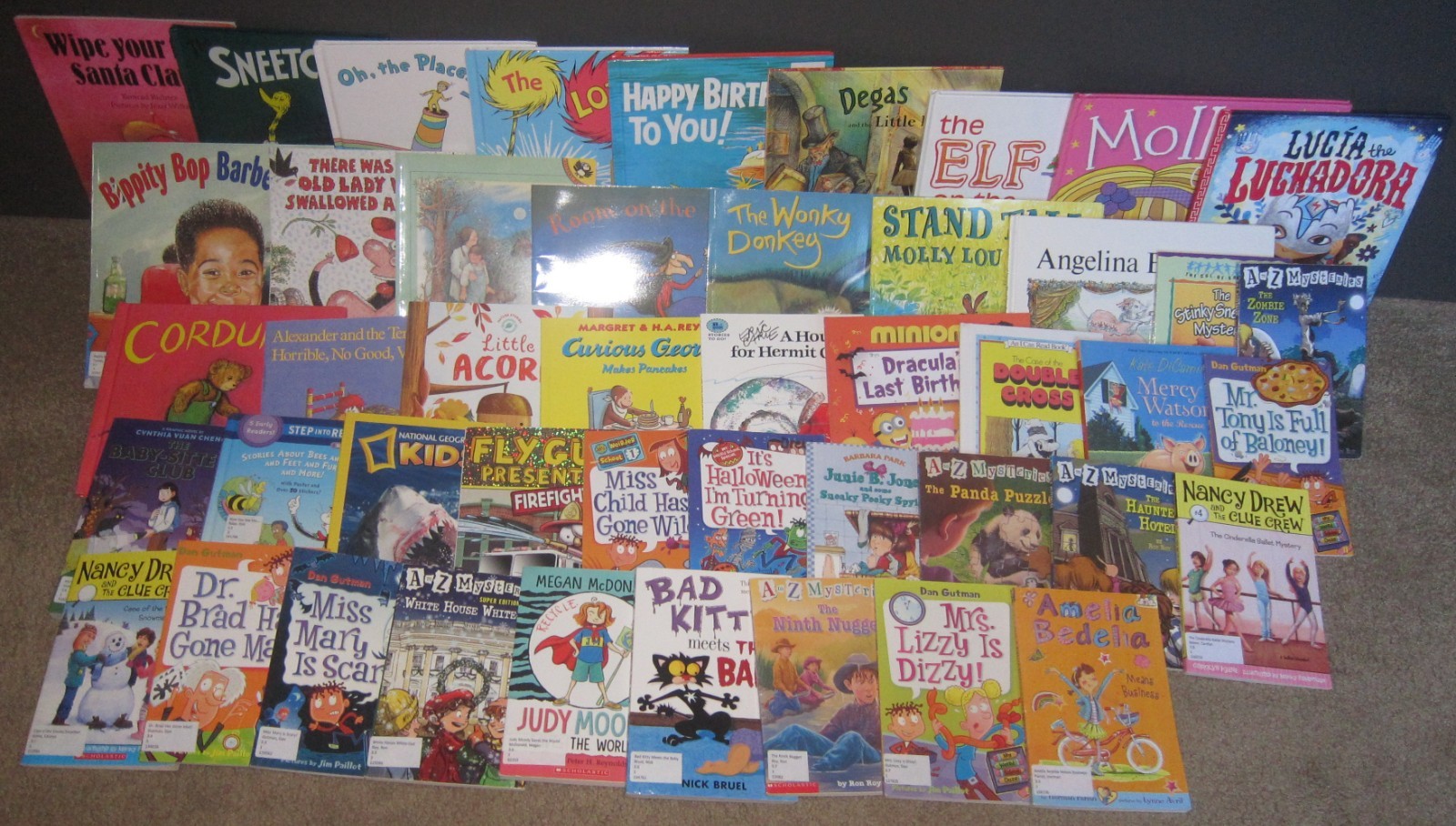 50 AR Accelerated Reader Titles – Reading Levels 2.5 – 3.9 Labeled & Ready!
