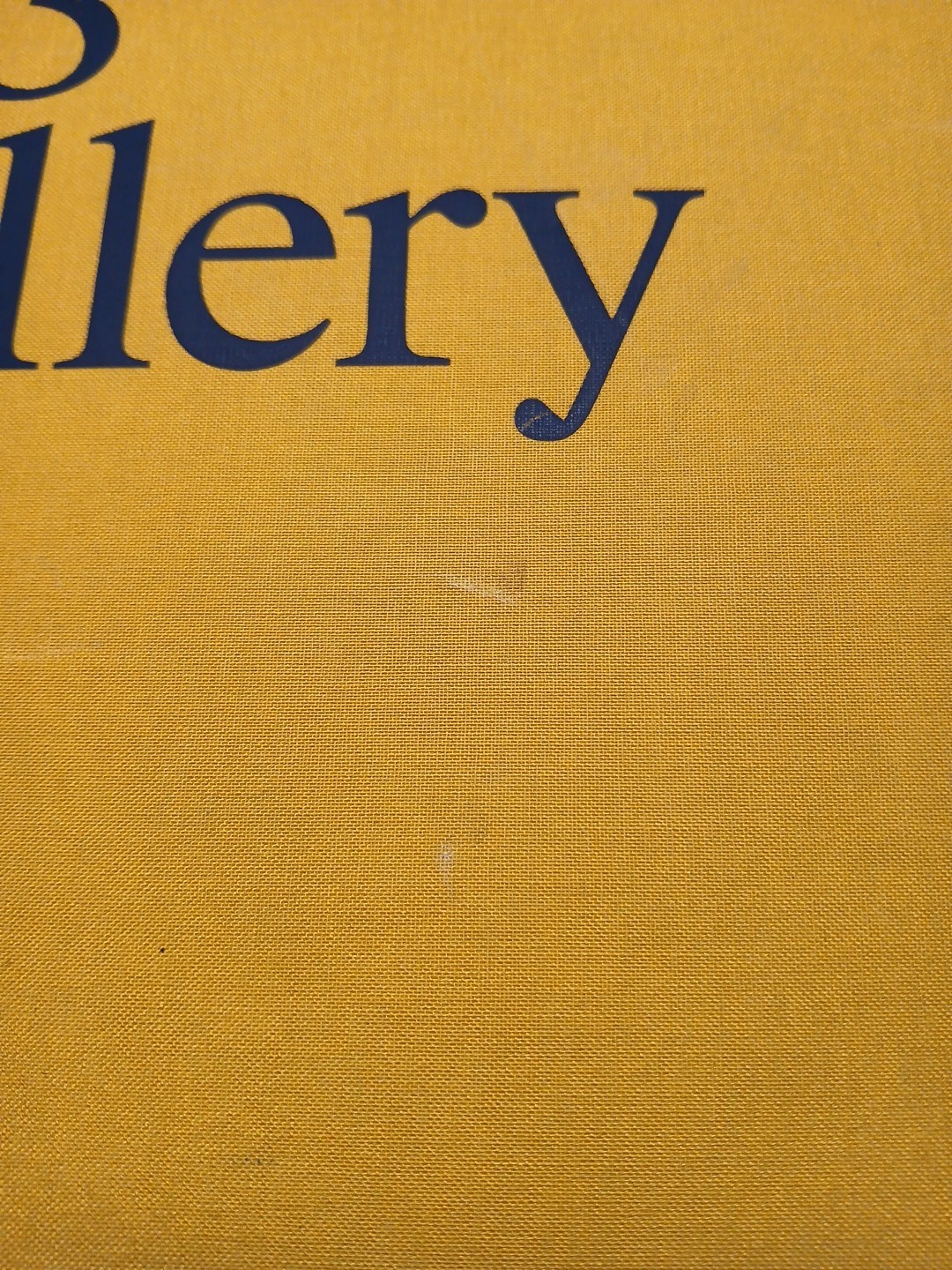 303 Gallery : 35 Years by N.Y. Staff 303 Gallery New York (Hardcover) ART BOOK